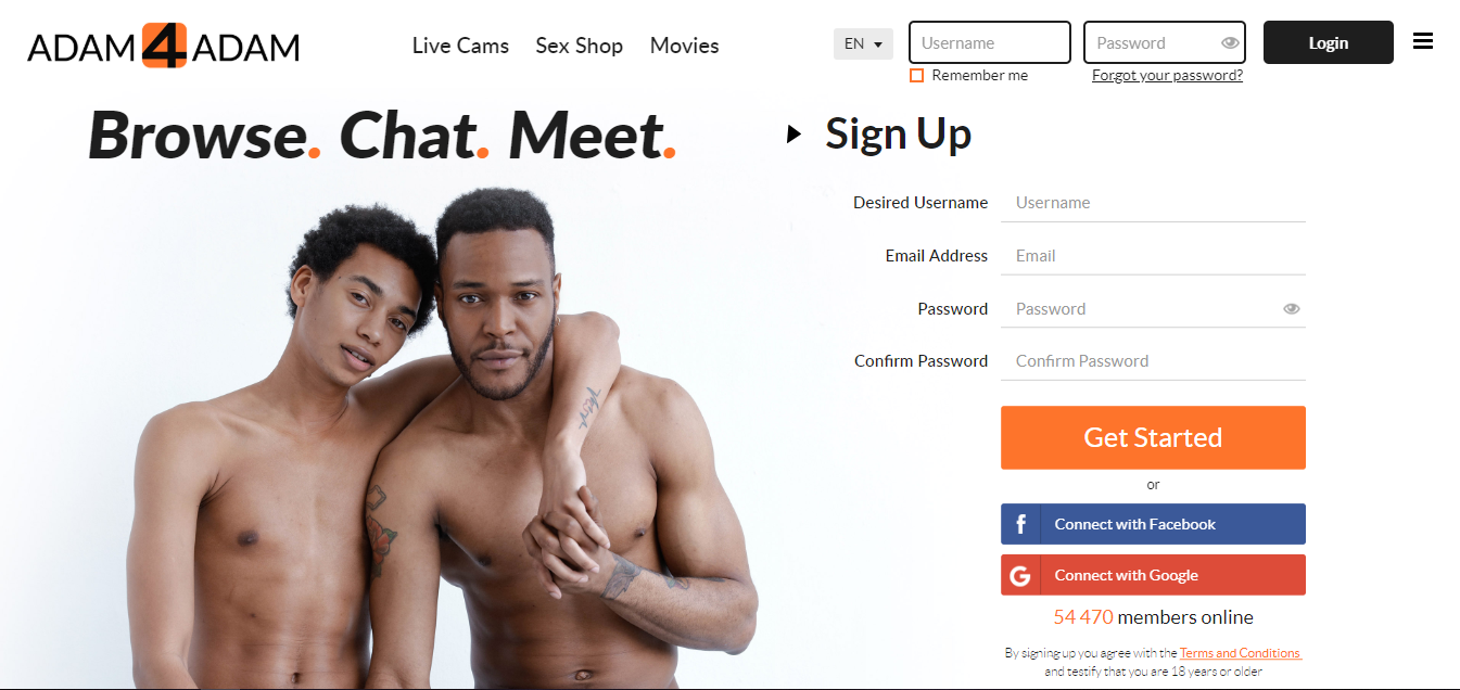 1 - GaysGoDating Review - GayDatingCenral